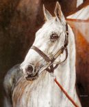 The Great Grey chasers: Desert Orchid

Limited edition print 14"x10"